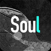 Soul软件最新版